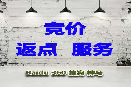 某科技公司的信息流广告投放策略与效果评估